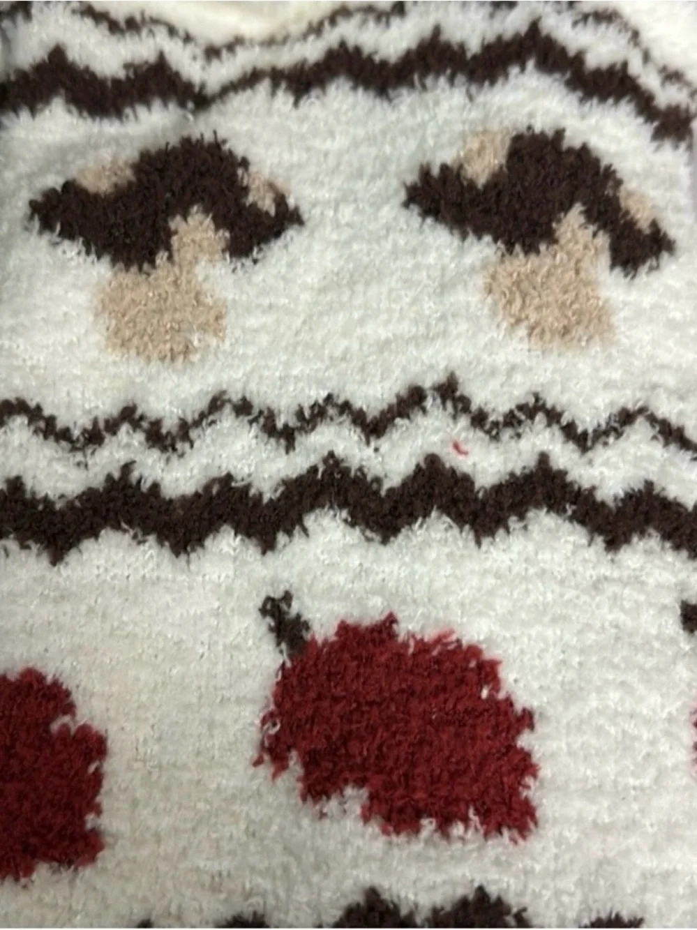 New Born Socks Women’s 4 Pair Fall Fuzzy Plush Cozy Crew Sock Casual Soft Active